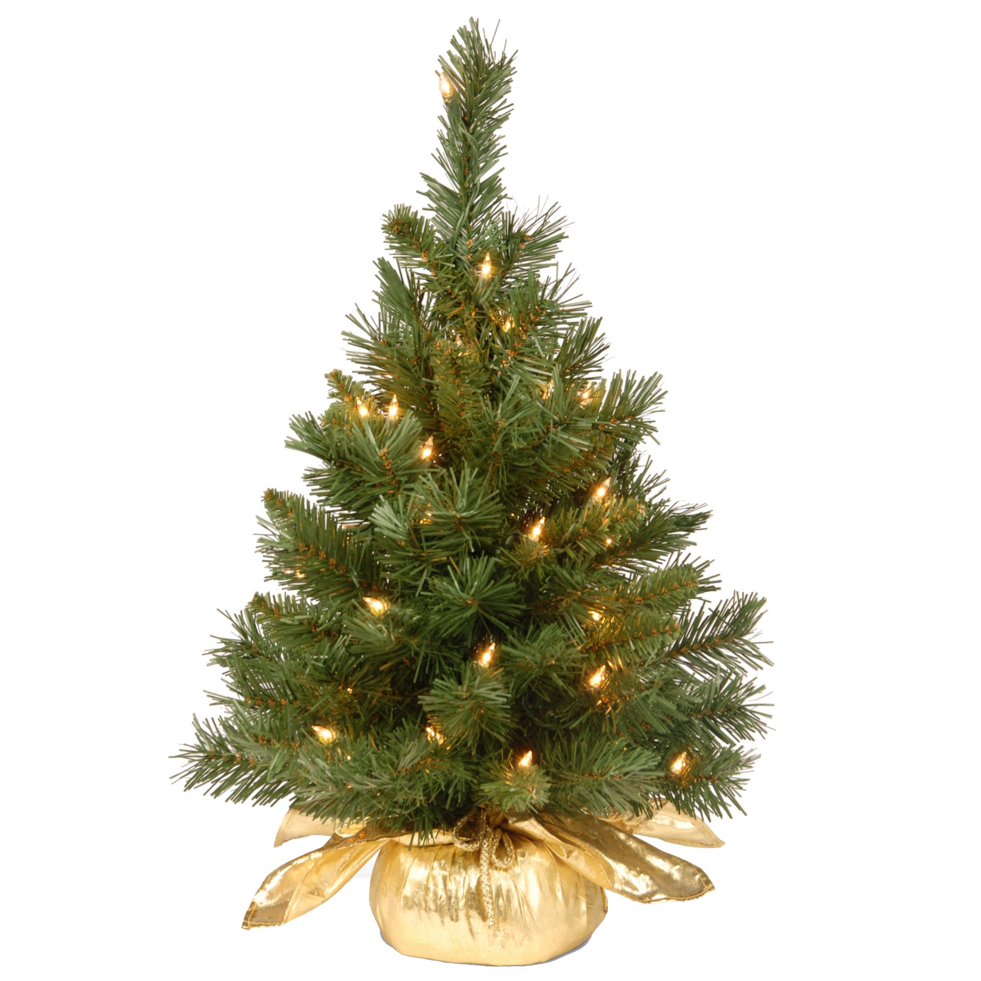 2’ Potted Majestic Fir Tree In Gold Cloth Bag – Clear Lights